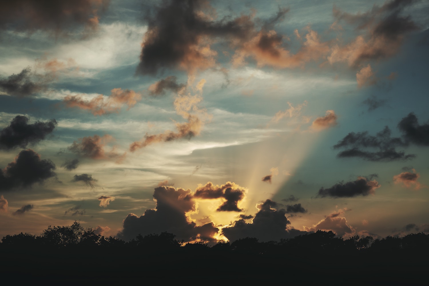 tim-mossholder-NqQMNkZQUzs-unsplash florida detox program