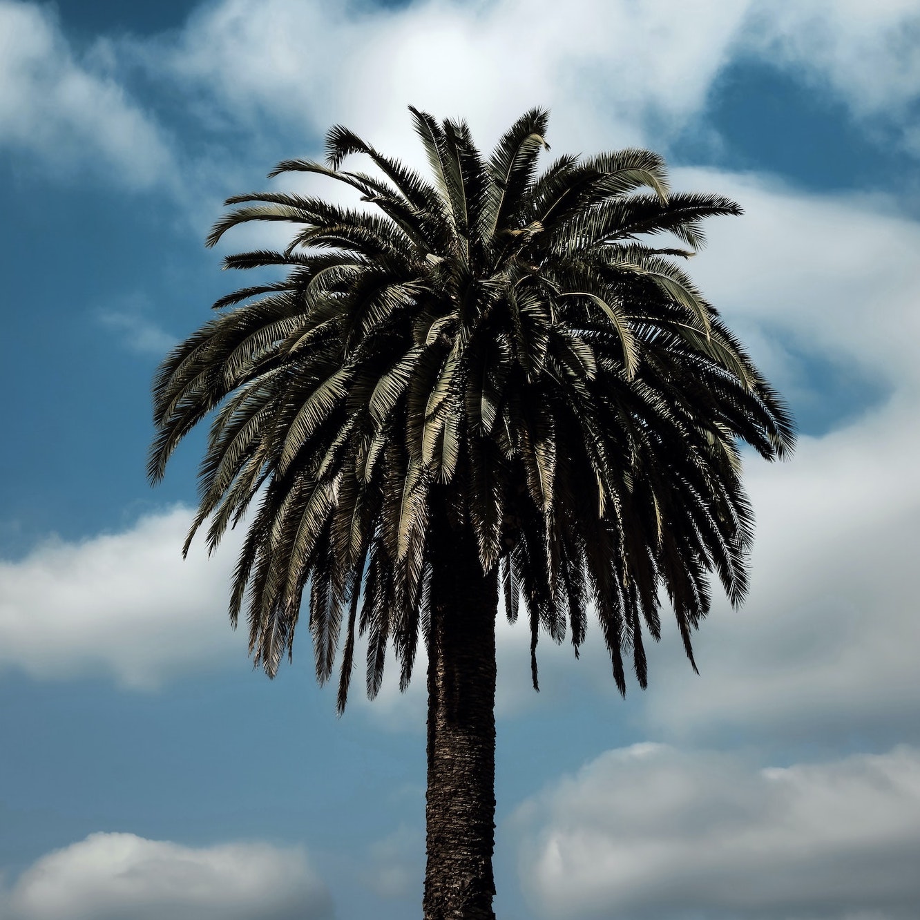 tim-mossholder-Oh7oWOat1zY-unsplash drug addiction rehab